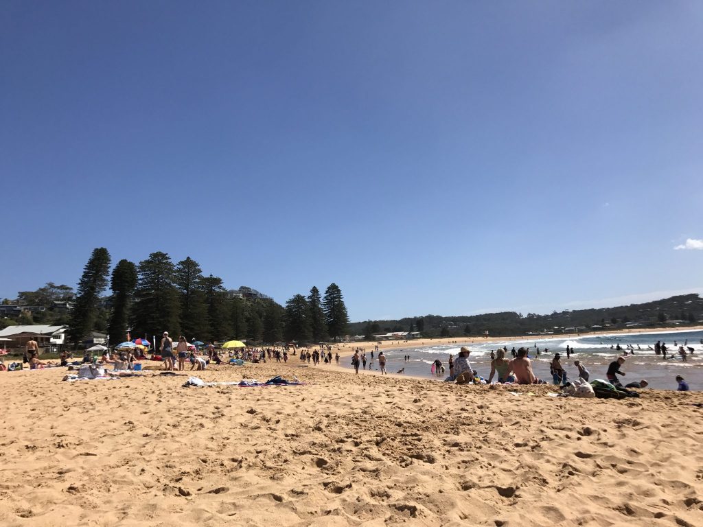 Review Avoca Beach and Avoca Beach Seafoods A Whimsy Life