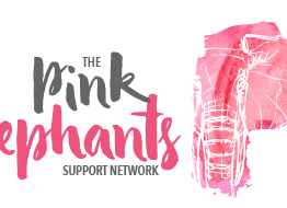 Pink Elephant Support Network