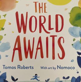 Review: The World Awaits by Tomos Roberts
